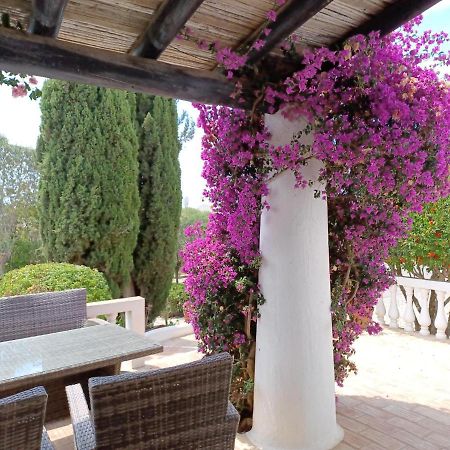 Quinta Do Paraiso - Casa Colynda Carvoeiro  Bagian luar foto